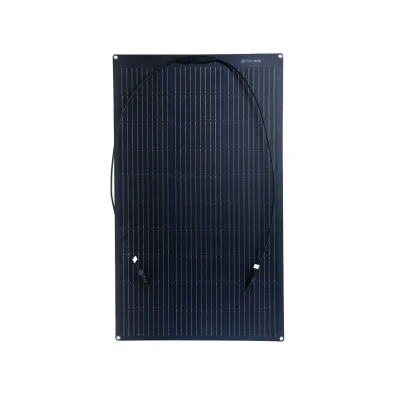 Flex 100i